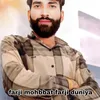 About farji mohbbat farji duniya Song